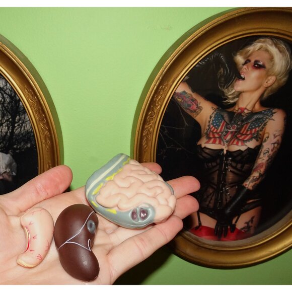 Vintage Plastic Human Organ Miniatures liver kidney intestines oddity curiosity - Picture 10 of 10